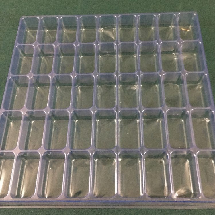 Rectangular Cavity Clear Plastic Trays - 2 X 1.06 X 1.13