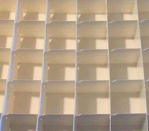 Tray Compartments Closeup