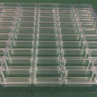 Rectangular Cavity Clear Plastic Trays - 2 X 0.75 X 0.75