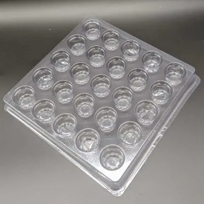25 Cavity PVC Tray