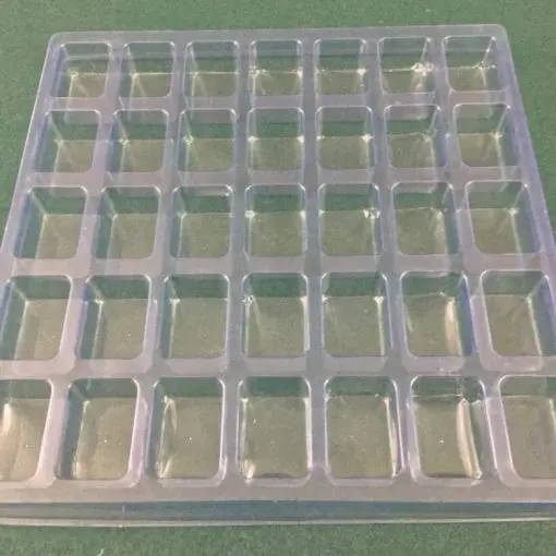 Rectangular Cavity Clear Plastic Trays - 1.75 X 1.25 X 1.00
