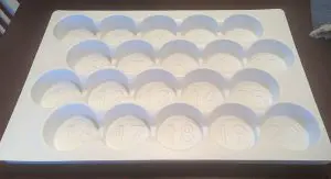 20 Cavity Inspection Tray