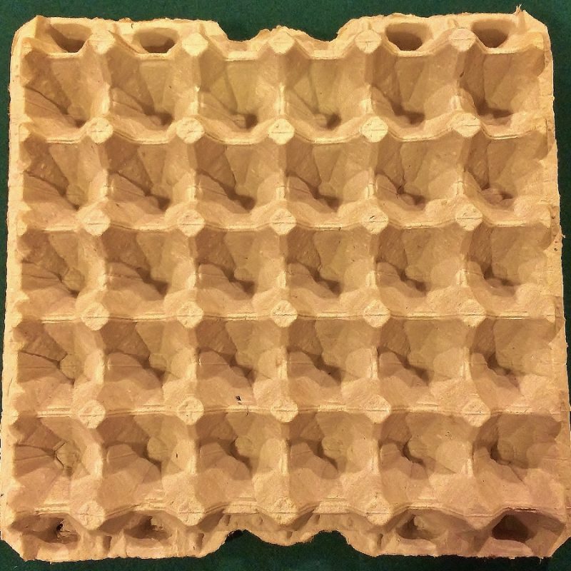 30 Cavity Egg Tray