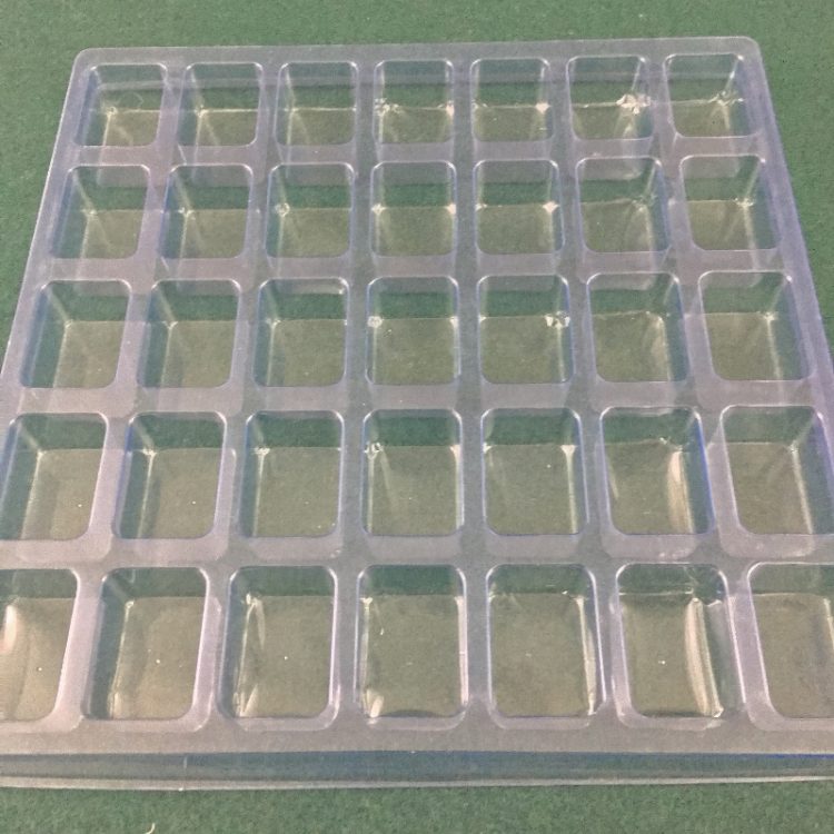 Rectangular Cavity Clear Plastic Trays - 1.75 X 1.25 X 1.00