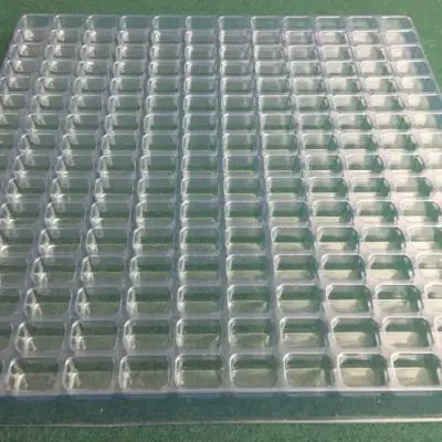 Rectangular Cavity Clear Plastic Trays - .75 X .5 X .5