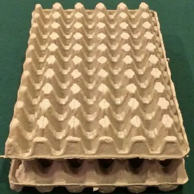50 Cavity Egg Tray