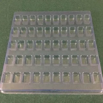 Rectangular Cavity Clear Plastic Trays - .85 X .60 X 0.57