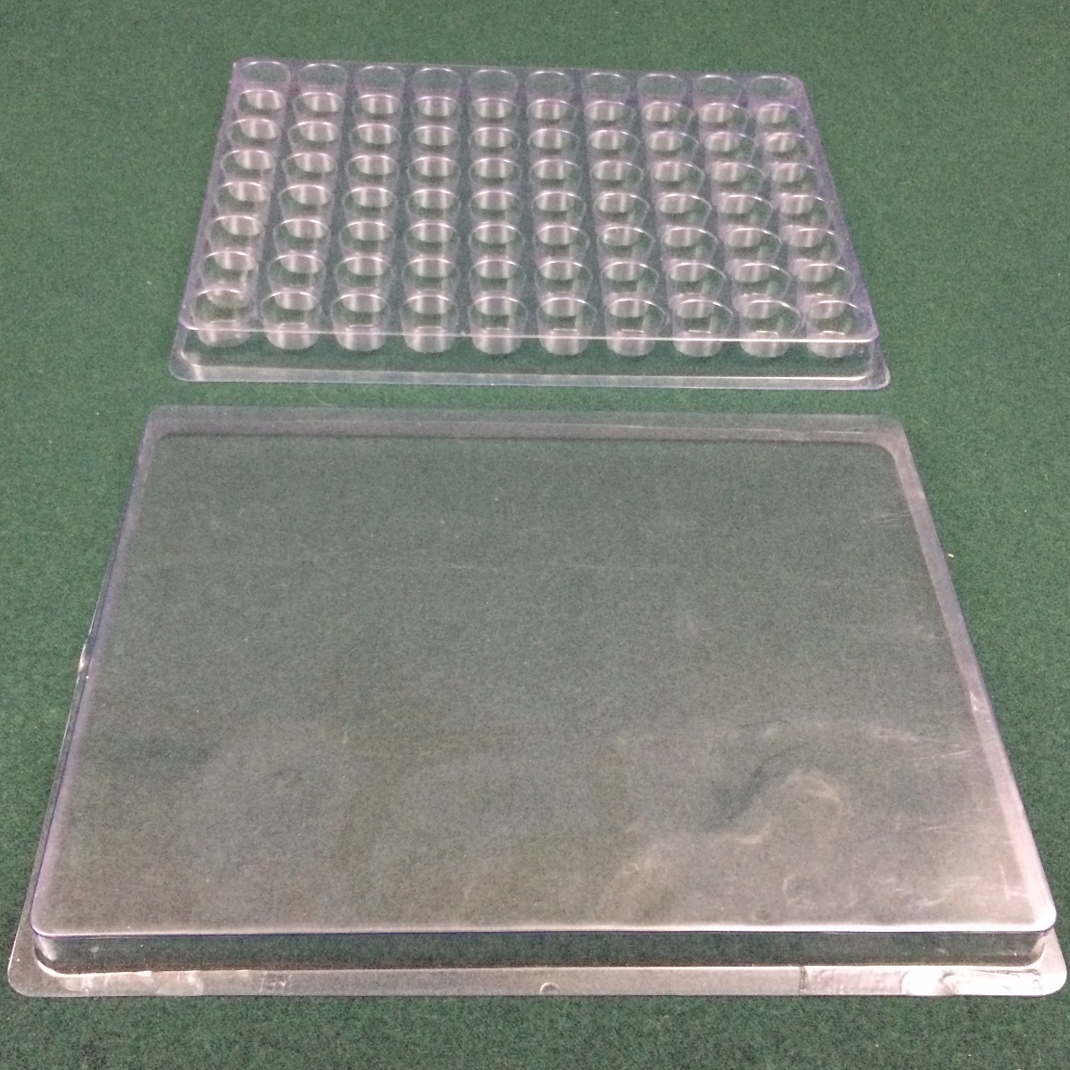 Clear Plastic Tray Lid Info