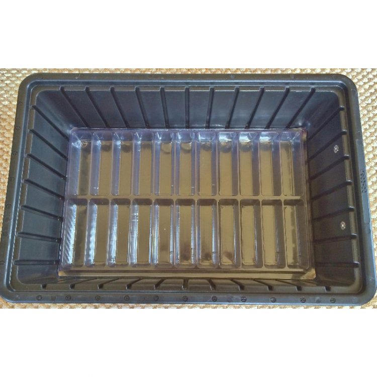 Clear Plastic Insert Tray: Cavity Size 3.5 X 1 - Image 3