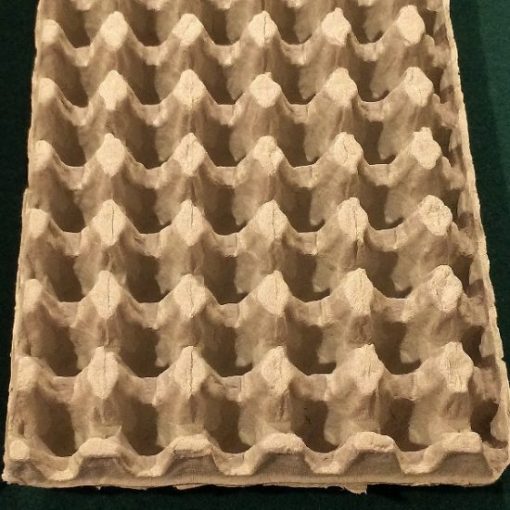 50 Cavity Egg Tray - Image 2