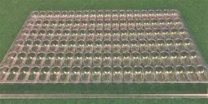 Cylindrical Cavity Clear Plastic Trays - 1.125 X .45 X .410