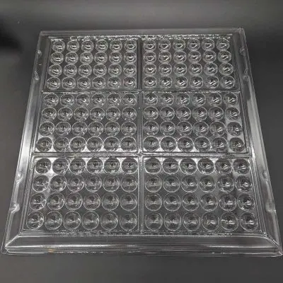 Lab Tray .8 Spherelike Cavity