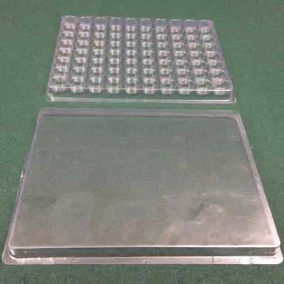 Lid 12X9Special2