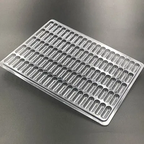 Oblong Cavity Tray Clear