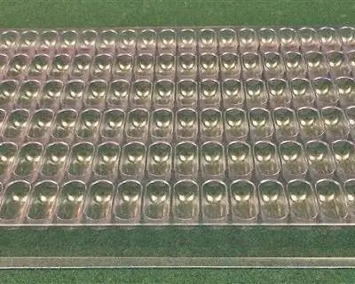 Cylindrical Cavity Clear Plastic Trays - 1.125 X .45 X .410